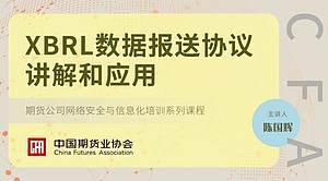 XBRL数据报送协议讲解和应用