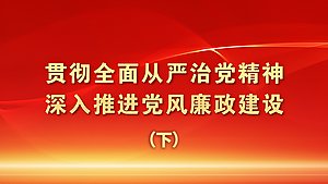 贯彻全面从严治党精神，深入推进党风廉政建设（下）