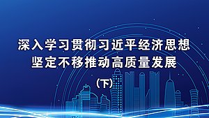 深入学习贯彻习近平经济思想  坚定不移推动高质量发展（下）