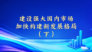 建设强大国内市场，加快构建新发展格局（下）