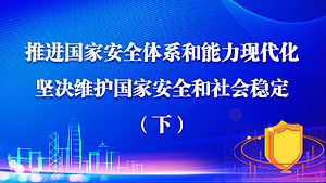 推进国家安全体系和能力现代化，坚决维护国家安全和社会稳定（下）