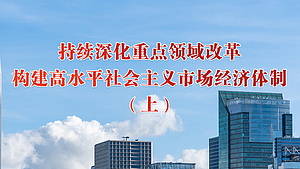 持续深化重点领域改革，构建高水平社会主义市场经济体制（上）