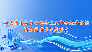 加快构建高水平社会主义市场经济体制，增强高质量发展动力