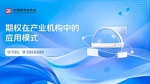 期权在产业机构中的应用模式