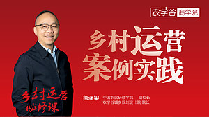 乡村运营激活乡村内生动力