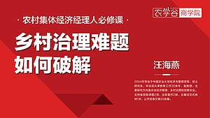 乡村治理难题如何破解