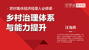 乡村治理体系与能力提升