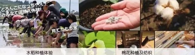 https://mmbiz.qpic.cn/mmbiz_jpg/RZe504ZtbH5pUKRicRkqO5pFdaicCick9GXtoKn862AK640vvRy5icGY48JsL8qSsAOIXHaeUic5rBkkLb6hVnqsZSg/640?wx_fmt=jpeg