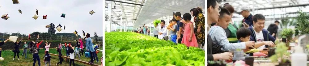https://mmbiz.qpic.cn/mmbiz_jpg/RZe504ZtbH680qbplcv5rcXm1u0IhaTzNLvZyYLbgVSoe9ThnPTUCXQh9UCT9j1OHFgrPToLEiczGkSedP0DNNw/640?wx_fmt=jpeg