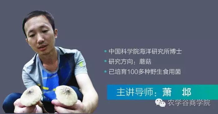 https://mmbiz.qpic.cn/mmbiz_jpg/RZe504ZtbH5gNCdQkxjDKdpbOdsM47xhS8HntqSeLQXdyK6TNxdlSket77glU4TbhAKLoqBibALz3DCk3CG0zeQ/0?