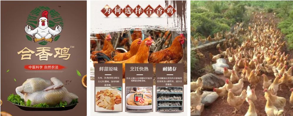 https://mmbiz.qpic.cn/mmbiz_jpg/RZe504ZtbH6hiaNhRBdNBiaVxjAxuMpuEF6ojWoHCwWnss6J1vsMziaFQib1wa0MicQxN7Vmv64Q5zCH2TYuNRIbA5g/640?wx_fmt=jpeg