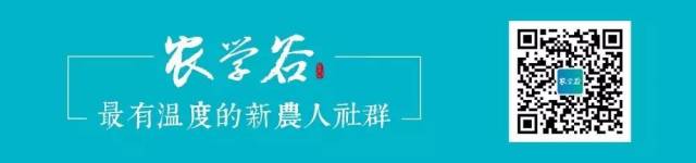 https://mmbiz.qpic.cn/mmbiz_png/RZe504ZtbH5OlwQictDcaoElaXcLT98K29tG4yWuldNDib2lpbOXCsmAdVdibH5wBzvdTHcXbX0MXe3Z1CR593VicQ/640?wx_fmt=png