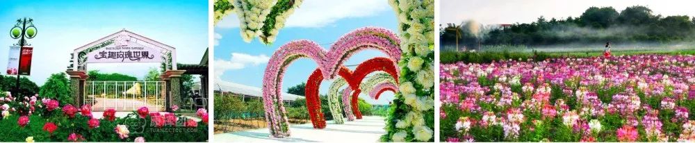 https://mmbiz.qpic.cn/mmbiz_jpg/RZe504ZtbH723yBFlPibHsm3FVngM3pAibMcuhtn42ElfEdJSiaSYPWyBz4kGABcfYMpiabha2tEnJPFtZ5ZLN4yRQ/640?wx_fmt=jpeg