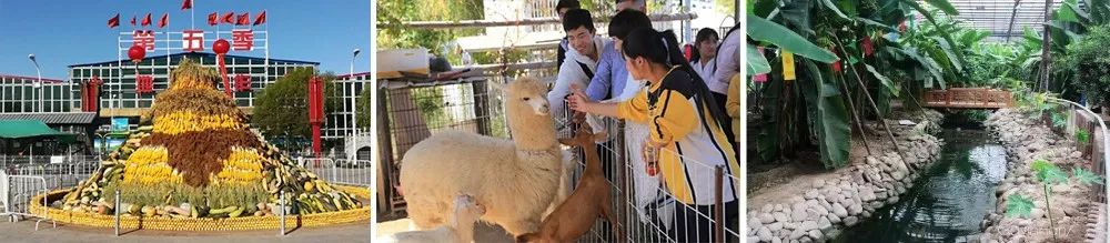 https://mmbiz.qpic.cn/mmbiz_jpg/RZe504ZtbH7APdgUkqtiaoDD82GOe6UWj0ibLicz0ATvMmO7mELsAydLqPBWQK39hqhMng9WrOxLuJ918iaK0RYGQA/640?wx_fmt=jpeg