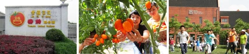 https://mmbiz.qpic.cn/mmbiz_jpg/RZe504ZtbH5ibEYpY2Tnv6TRKibeI1poLJuicUGT9us3icNiczewCLKXMibWRDJhwlUs3xicDWyrGSpSPuG0Re1ccFF1w/640?wx_fmt=jpeg