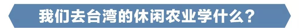 https://mmbiz.qpic.cn/mmbiz_jpg/RZe504ZtbH5Vib5TMYNicbYYvFoT6k90oMwruGCC6qaZcV7WhAVRA8BicOREFHpicpFCGD9WPY73Yxmc8BBu7a6hdQ/640?wx_fmt=jpeg