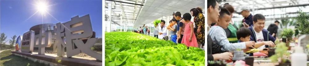 https://mmbiz.qpic.cn/mmbiz_jpg/RZe504ZtbH7LUibx3ScbEcibFdo7MFtvTPLHYNURc8WLfvV4kXy1wqJCxYuWjD2ZExxl76zPjDF7yRznD9U9GJibg/640?wx_fmt=jpeg