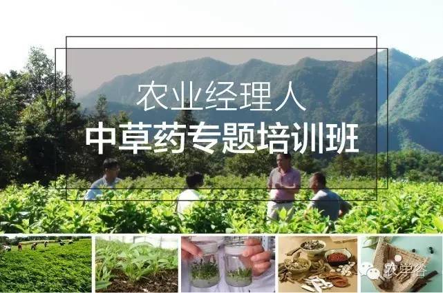 https://mmbiz.qpic.cn/mmbiz/RZe504ZtbH6u0piaaeORdoHMia7Fj21nVla2Z1Jgmgw6xuhRDXhsCOFtsLJvoO11JNXT9KpibcWOVJFNUY8Gsq36Q/0?wx_fmt=jpeg