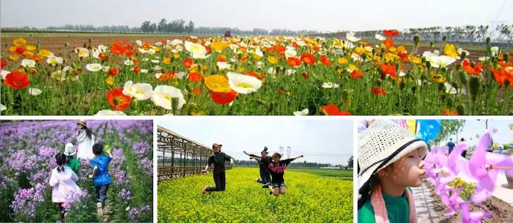 https://mmbiz.qpic.cn/mmbiz/RZe504ZtbH5KFUfX6G6Xwicic2SiaCkJK7tRHbf3HFkcgB84uCOiaIYauoBAxheBzbtO2wWdlMR4a8CAuyDOlPI3xQ/0?wx_fmt=other