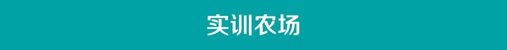 https://mmbiz.qpic.cn/mmbiz_jpg/RZe504ZtbH5ed3CgnCAFxN4sZLnPwFgPJFMJZnWYYAMLn6shaY9xBvMhuGoxFIgEfAqibyt26c2ib4ddzHicwSrag/640?wx_fmt=jpeg