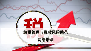 税收管理与税收风险防范