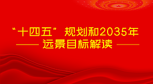 “十四五”规划和2035年远景目标解读