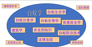 白蚁防制专题培训