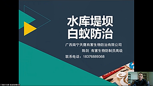 水库堤坝白蚁防治