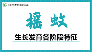 摇蚊生长发育的各阶段特征