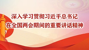 深入学习贯彻习近平总书记在全国两会期间的重要讲话精神