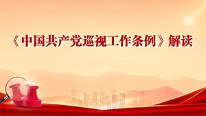 《中国共产党巡视工作条例》解读