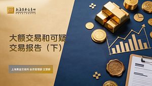 大额交易和可疑交易报告（下）