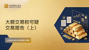 大额交易和可疑交易报告（上）